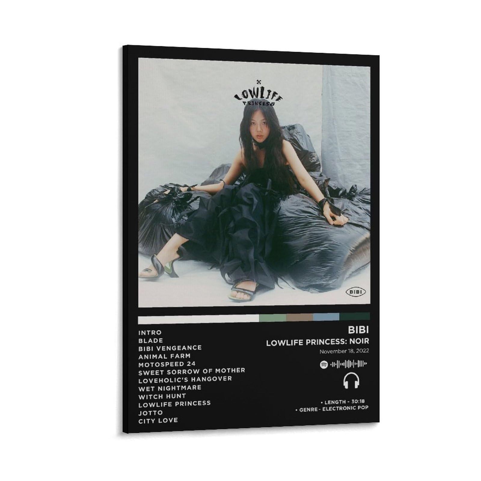 ZVBIR RUHI Bibi - Lowlife Princess Noir Music Album Cover Canvas